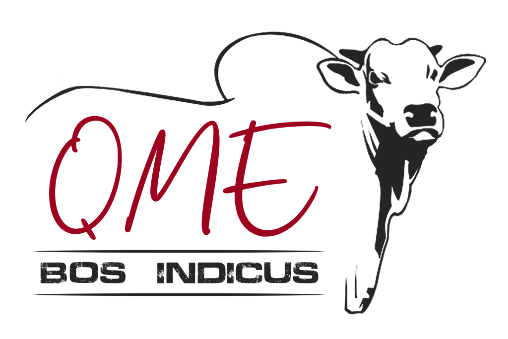 About Us Quality Meat Exports (Private) Limited