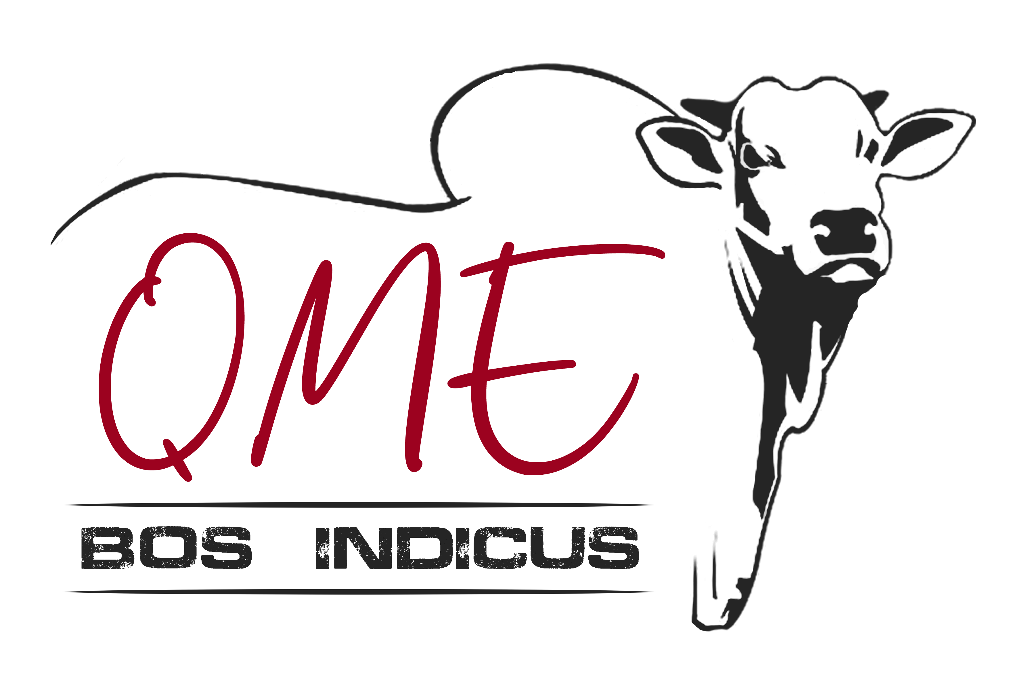Quality Meat Exports (Private) Limited Logo